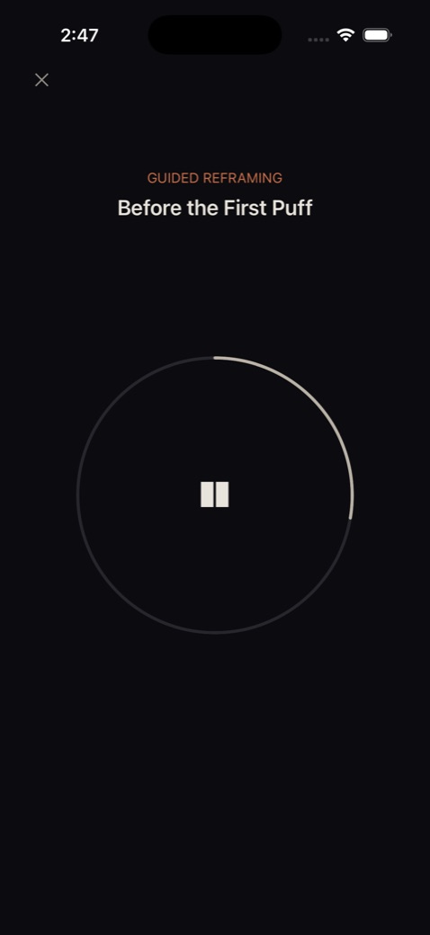 The session player: dark screen, progress ring, one pause button